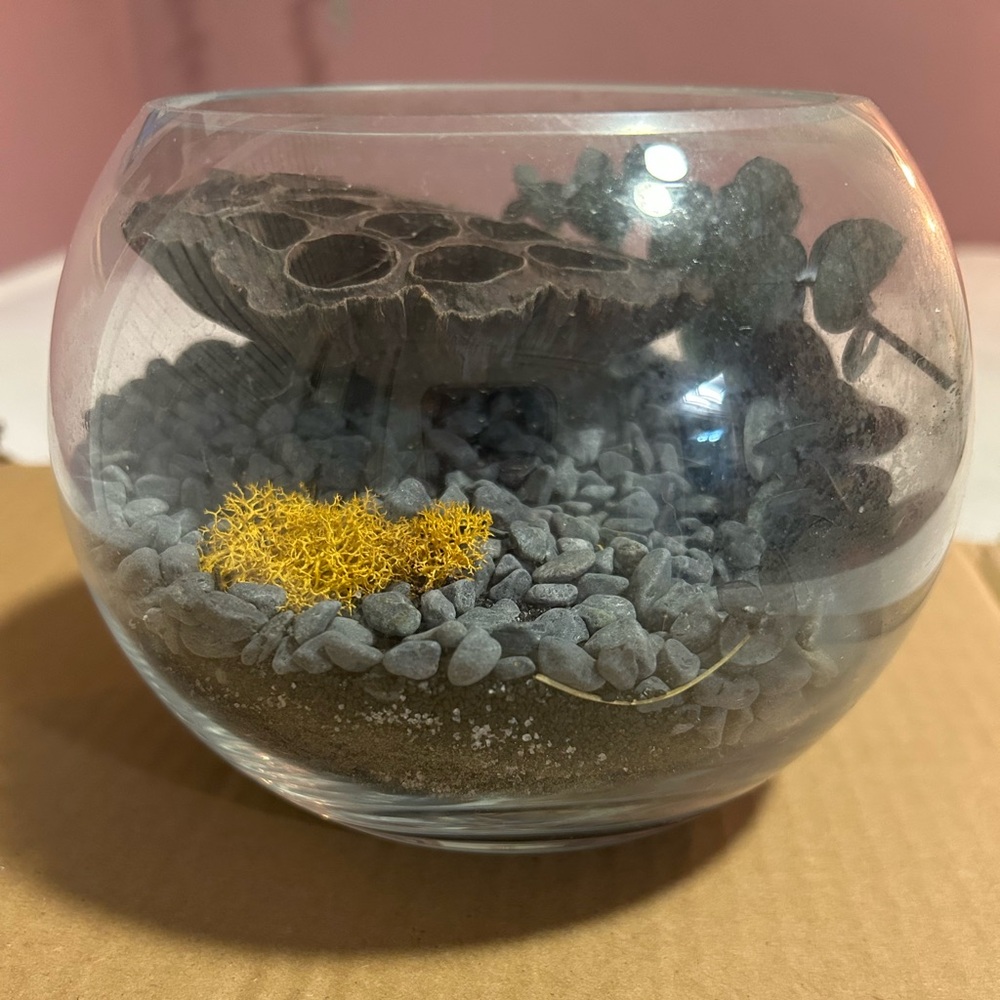 terrarium Glass Globe Sand Gravel Fake plants Sponge
Shelf Counter Decor Shells